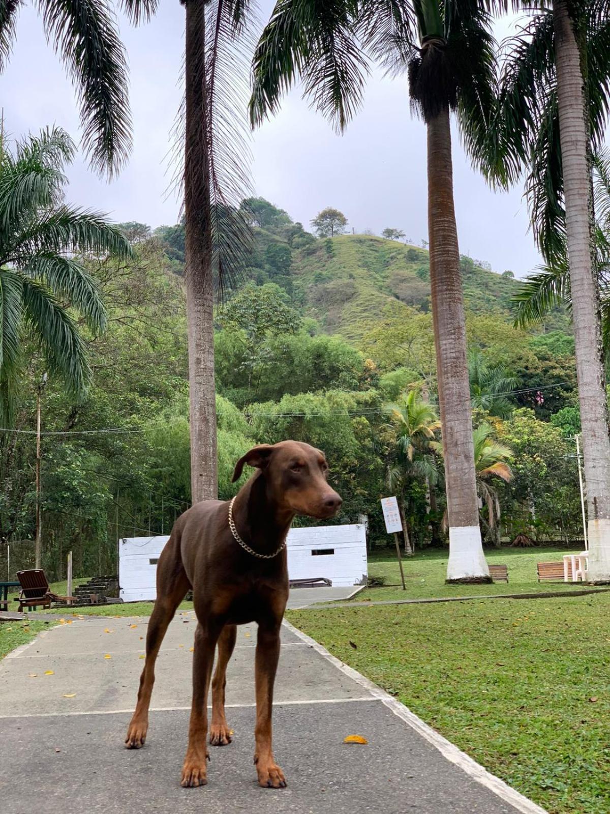 Finca Hotel La Consentida Escondida San Jerónimo Zewnętrze zdjęcie