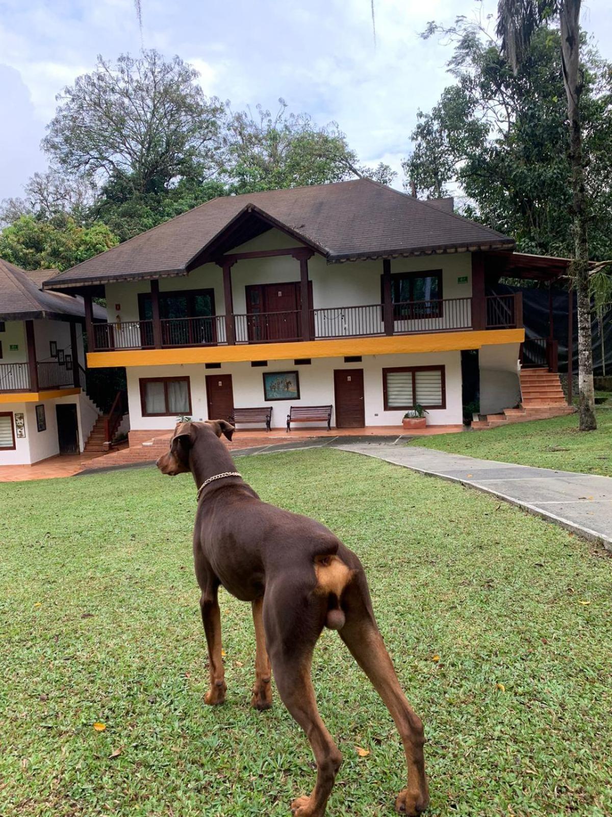 Finca Hotel La Consentida Escondida San Jerónimo Zewnętrze zdjęcie